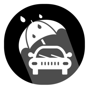 Weather Damage Icon